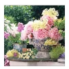 Ambiente Papierservietten Blumenmix Rosen, Potted Flowers, 33x33cm