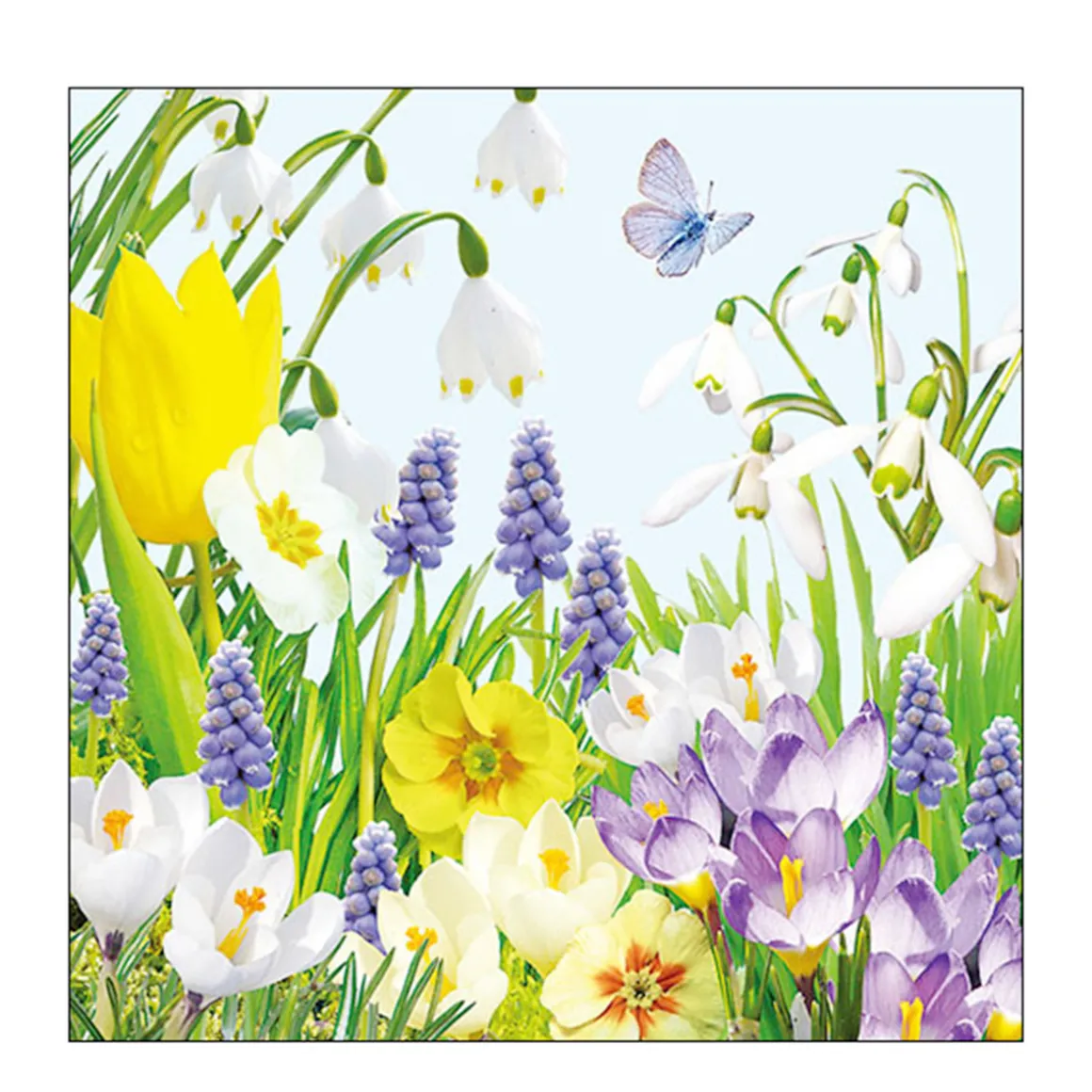 Ambiente Papierservietten Frühling - Frühlingsblumen und Schmetterling, Spring Time, 33x33cm