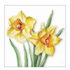 Ambiente Papierservietten, Frühlingsblumen Narzissen, 33x33cm