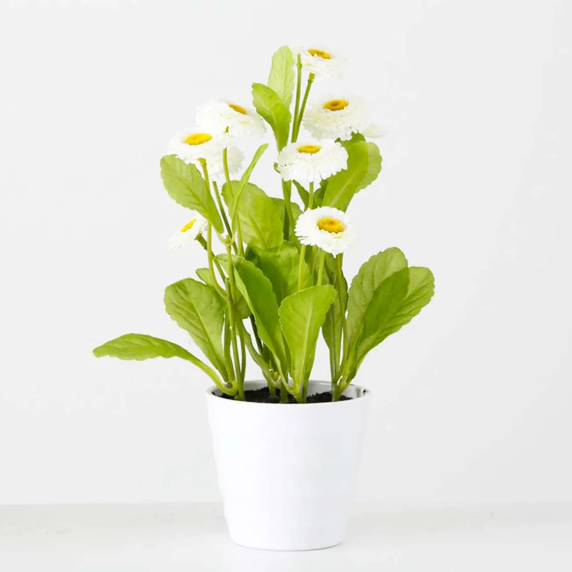 Deko Kunstblume Bellis, Gänseblümchen im Topf blühend, weiß, 30cm, Boltze Home Collections