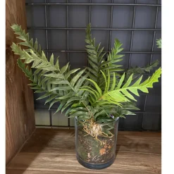 Deko Kunstpflanze Farn, Farn mit Erdballen im Glas, Farn wie echt