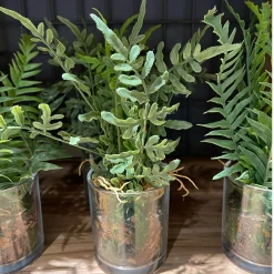 Deko Kunstpflanze Farn, Farn mit Erdballen im Glas, Farn wie echt