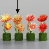 Deko Kunstpflanze Strohblume, Strohblume orange mit Grasballen, 15cm, DPI