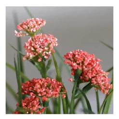 Deko Kunstpflanze Wiesenblume, Wiesenblumen rot mit Erdballen, 22cm, DPI
