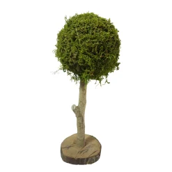 Deko Moosbaum Aride, Mooskugel auf Naturholzstamm, 40cm