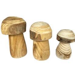 Deko Pilz Naturholz, Holzpilz Natur mit runder Kappe, 6x10cm, DIJK Natural Collections