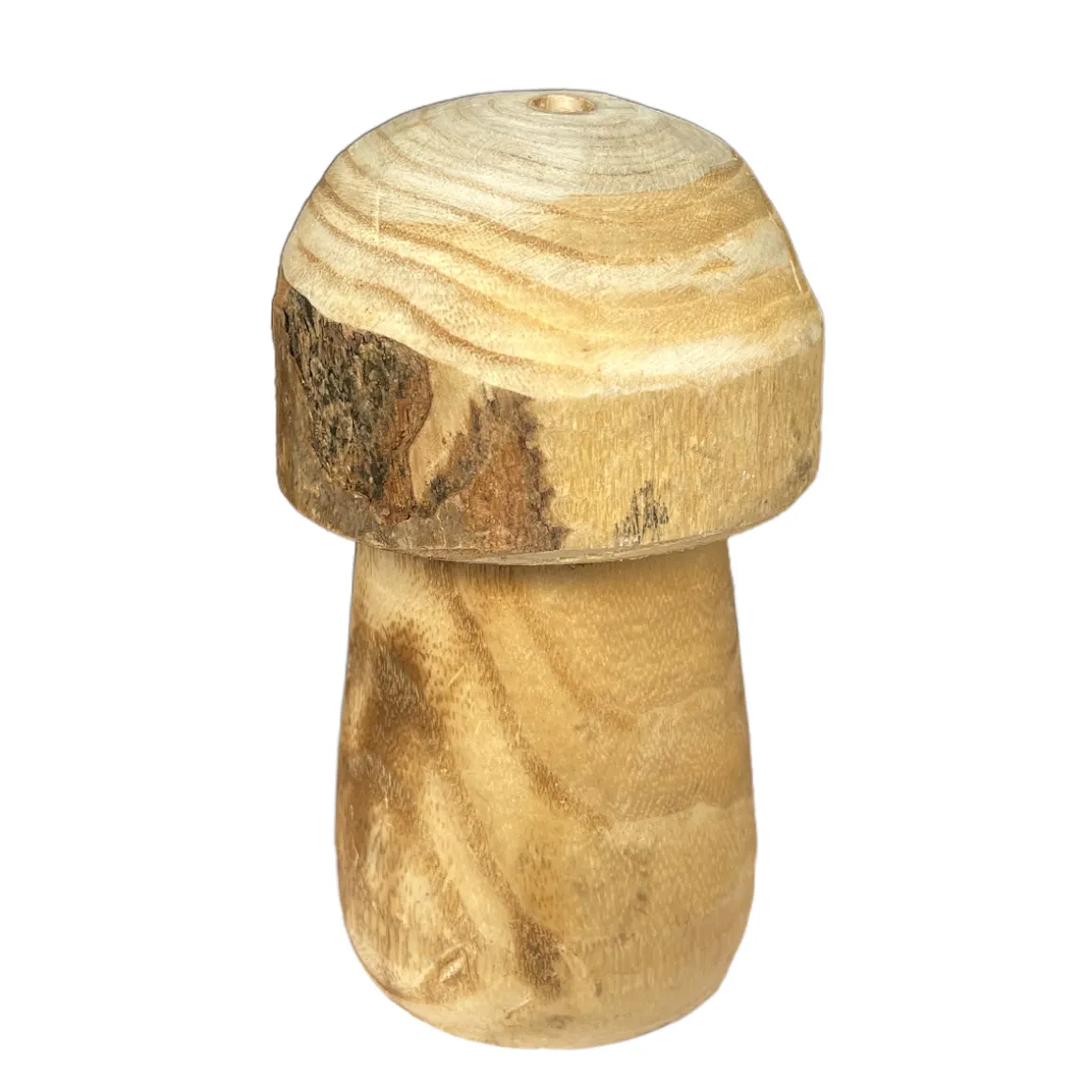 Deko Pilz Naturholz, Holzpilz Natur mit runder Kappe, 8x13cm, DIJK Natural Collections