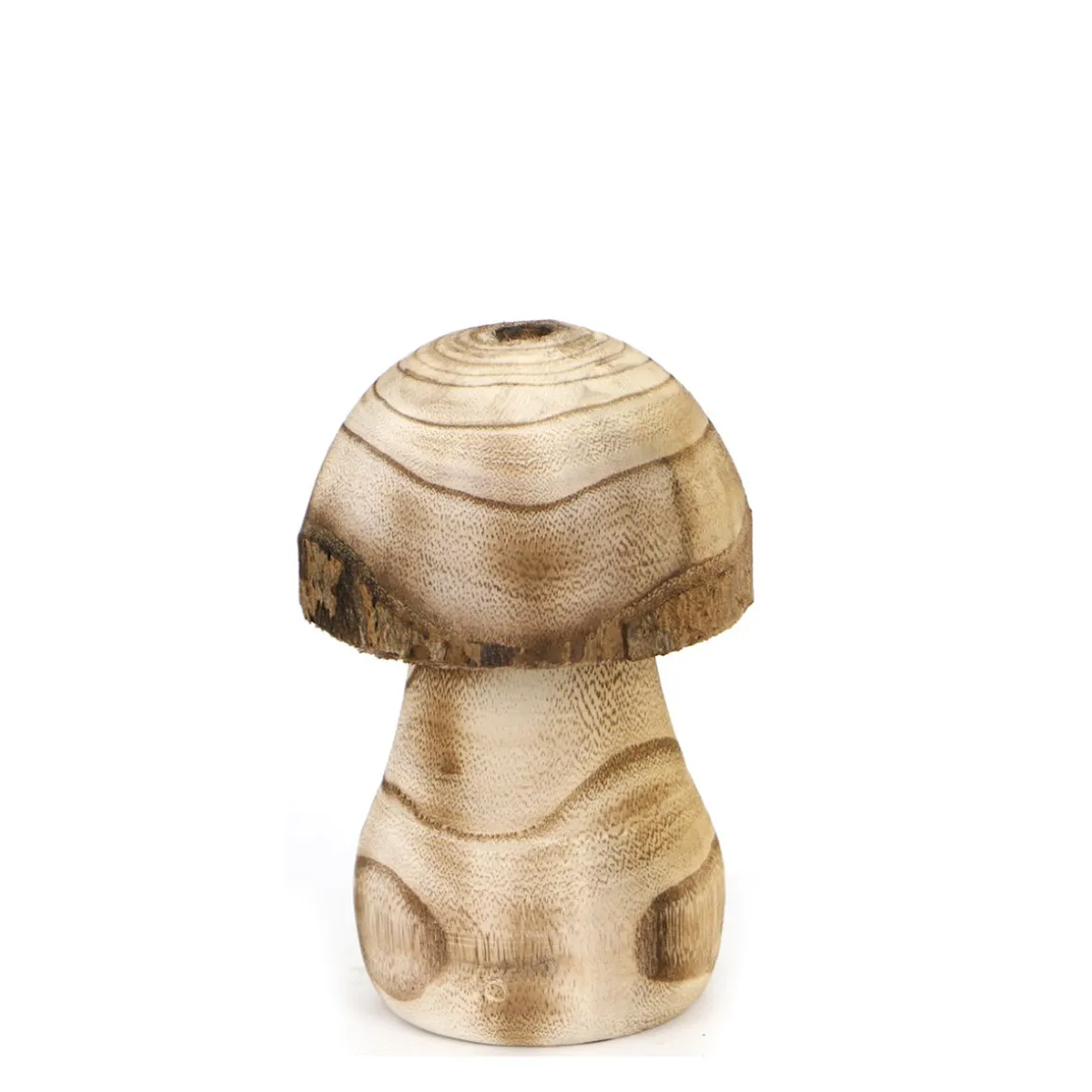 Deko Pilz Naturholz, Holzpilz Natur mit runder Kappe, 8x13cm, DIJK Natural Collections