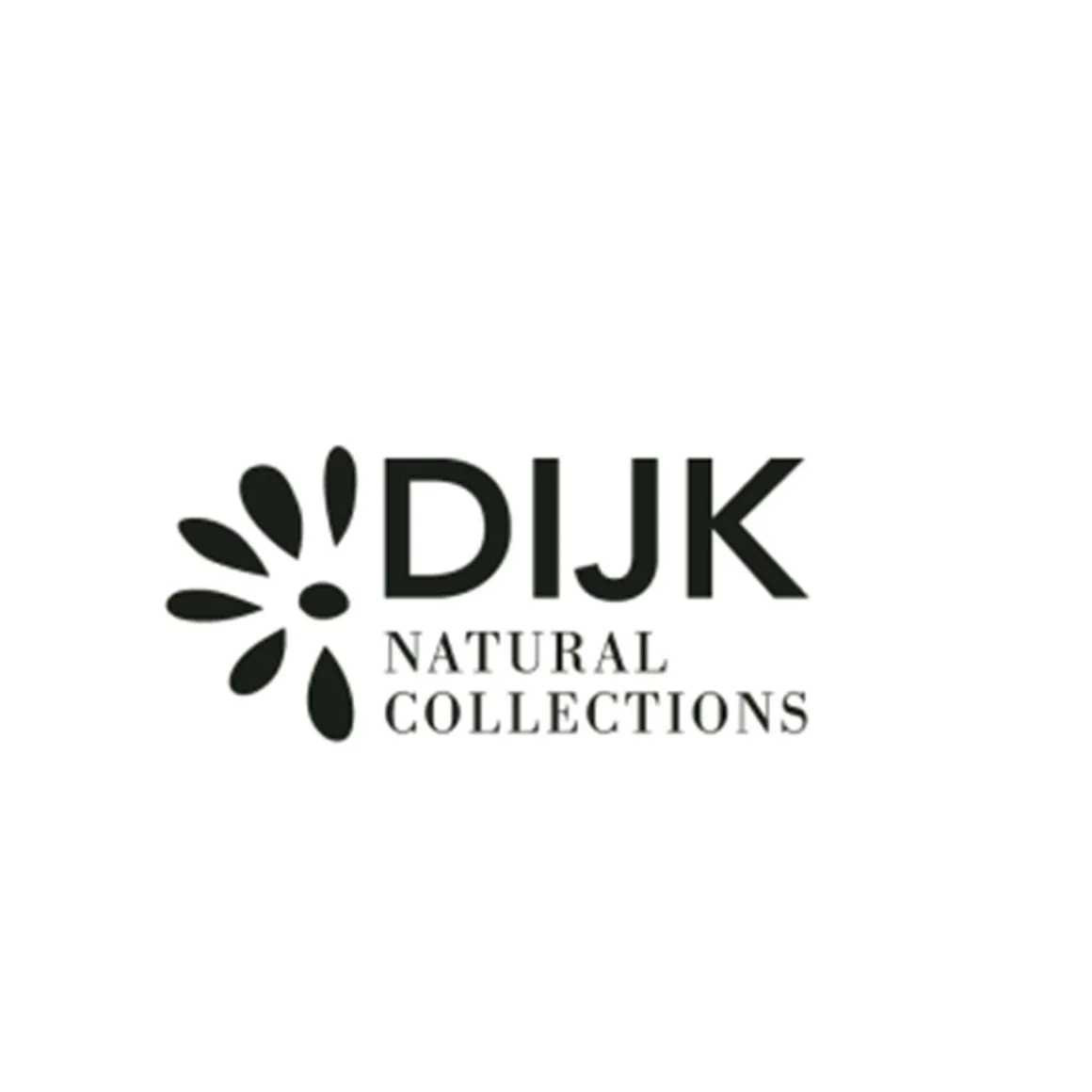 Deko Pilz Naturholz, Holzpilz Natur mit runder Kappe, 8x13cm, DIJK Natural Collections