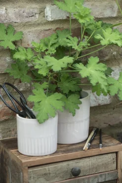 Deko Schere Nostalgie, Metallschere lang, schwarz, 20cm, Ib Laursen