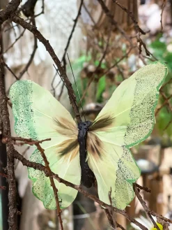Deko Schmetterlinge mit Draht, grün, 6 St. in der Klarsichtbox
