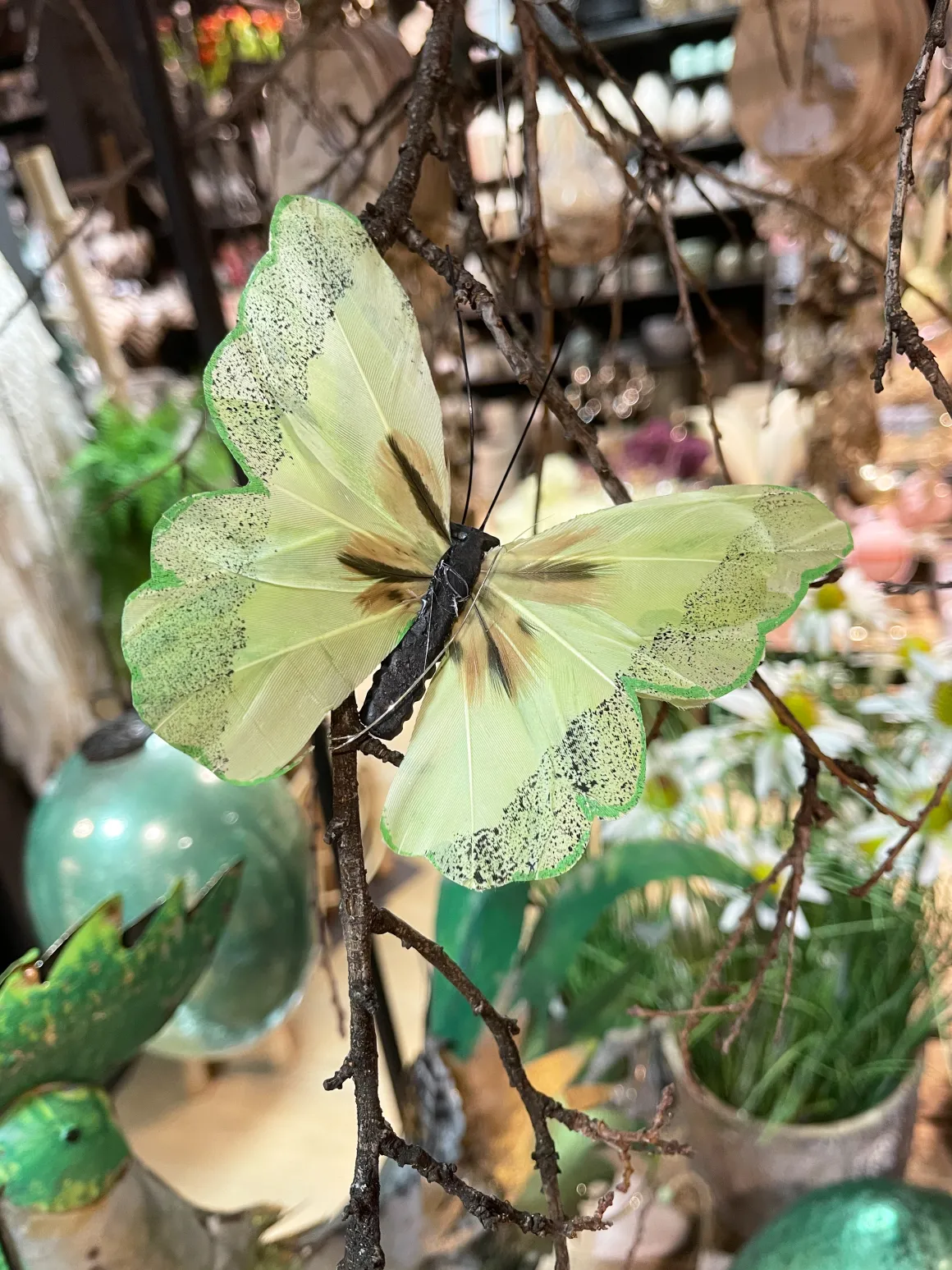 Deko Schmetterlinge mit Draht, grün, 6 St. in der Klarsichtbox