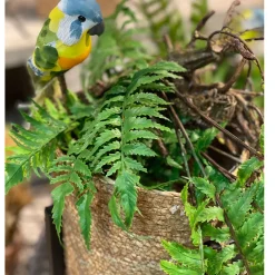 Deko Vogel bunt, Wellensittich auf Holzstange, blau-gelb-grün, 28cm