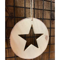 Deko Holzhänger Birke, runde Holzscheibe mit Stern, Ø20cm, weihnachtliche Naturdeko
