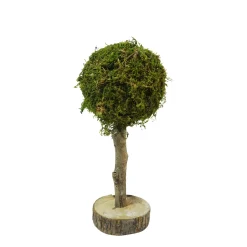 Deko Moosbaum Aride, Mooskugel auf Naturholzstamm, 30cm