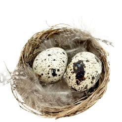 Deko Vogelnest Natur, kleines Weidennest mit Wachteleier und Federn, Ø6cm