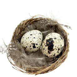 Deko Vogelnest Natur, kleines Weidennest mit Wachteleier und Federn, Ø6cm