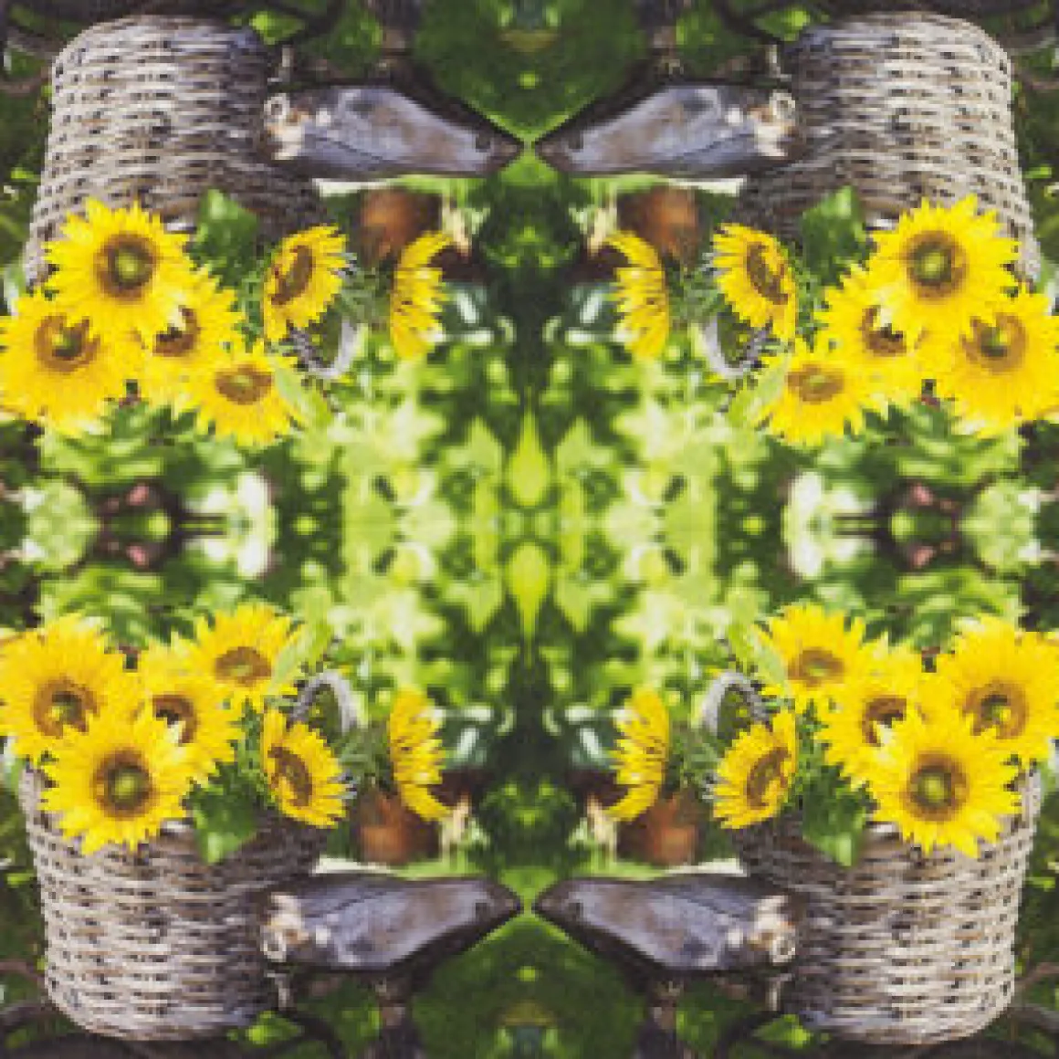 Home Fashion Papierservietten Sonnenblumen, Sunny Flower, 25x25cm