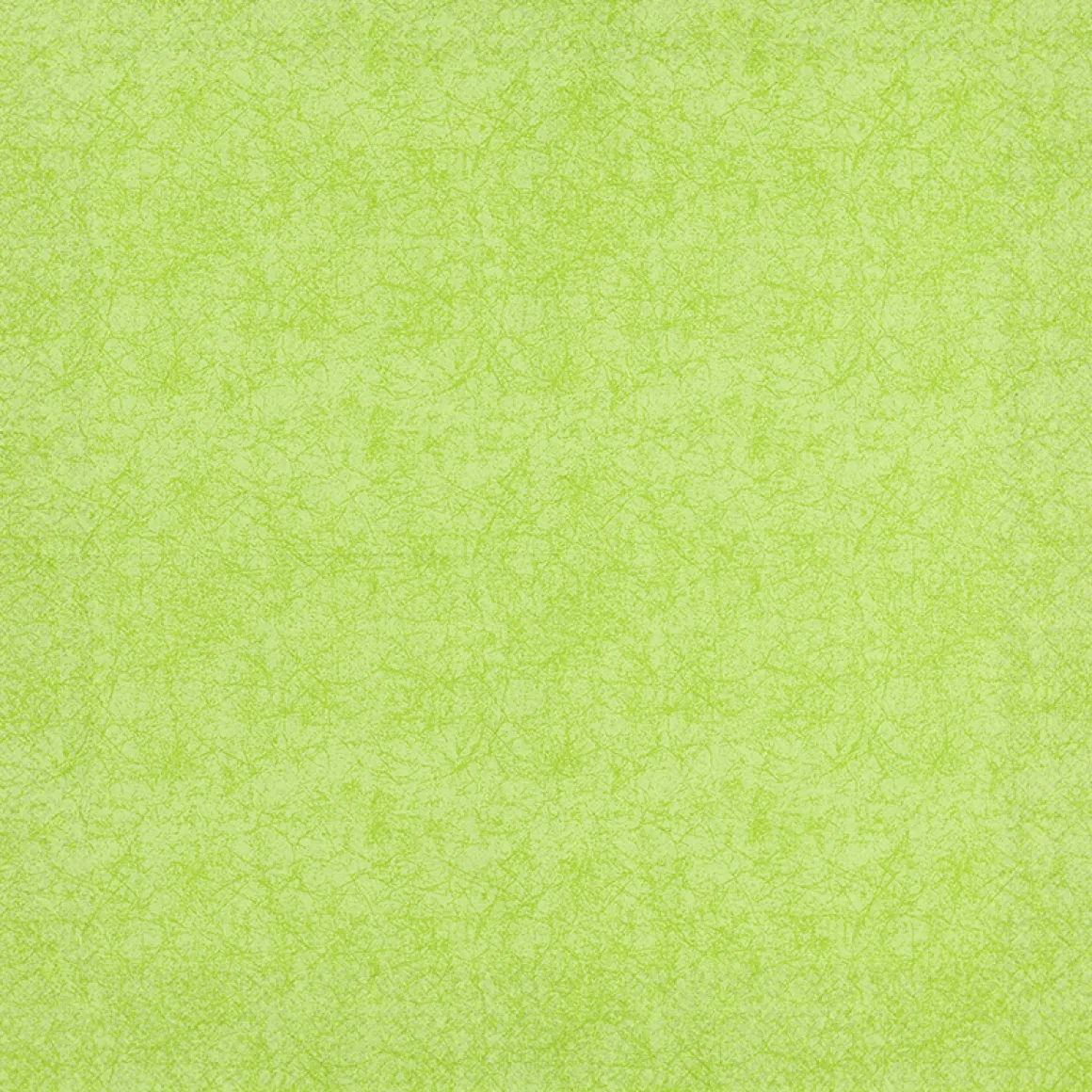 Home Fashion Papierservietten grün, einfarbig grün, 33x33cm