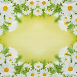 Home Fashion Papierservietten Wiesenblumen, weiße Margeriten, 25x25cm