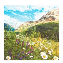 Home Fashion Papierservietten Bergwiese, Lunch 33x33cm