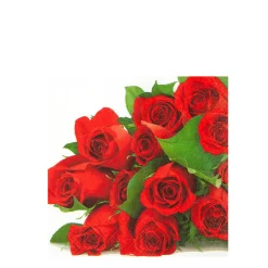 Home Fashion Papierservietten rote Rosen, 25x25cm