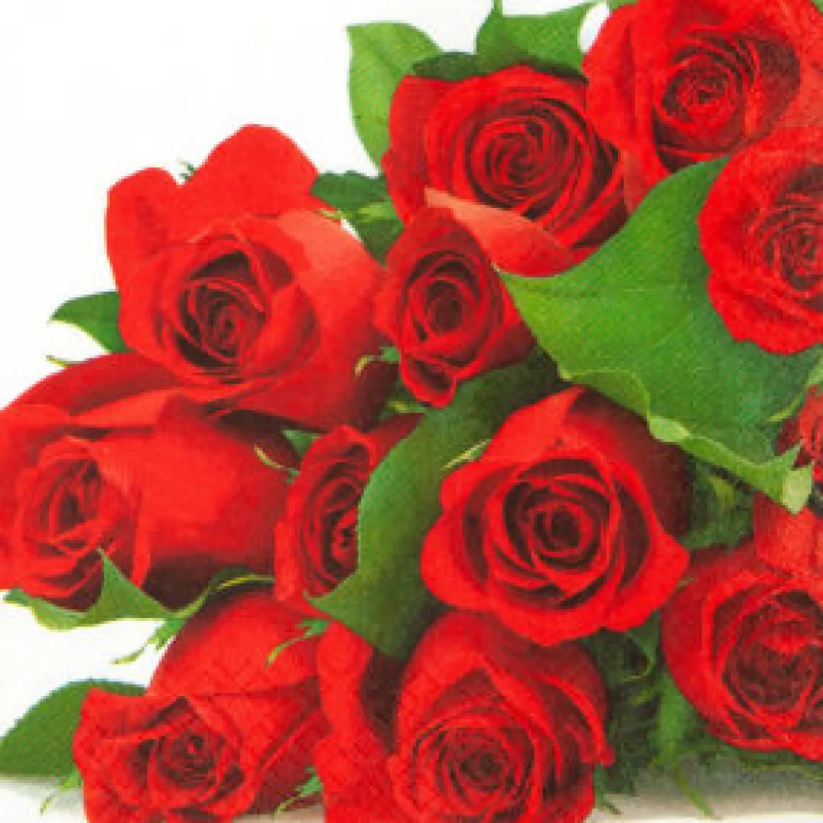 Home Fashion Papierservietten rote Rosen, 25x25cm