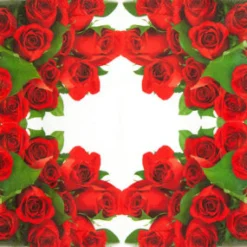 Home Fashion Papierservietten rote Rosen, 25x25cm
