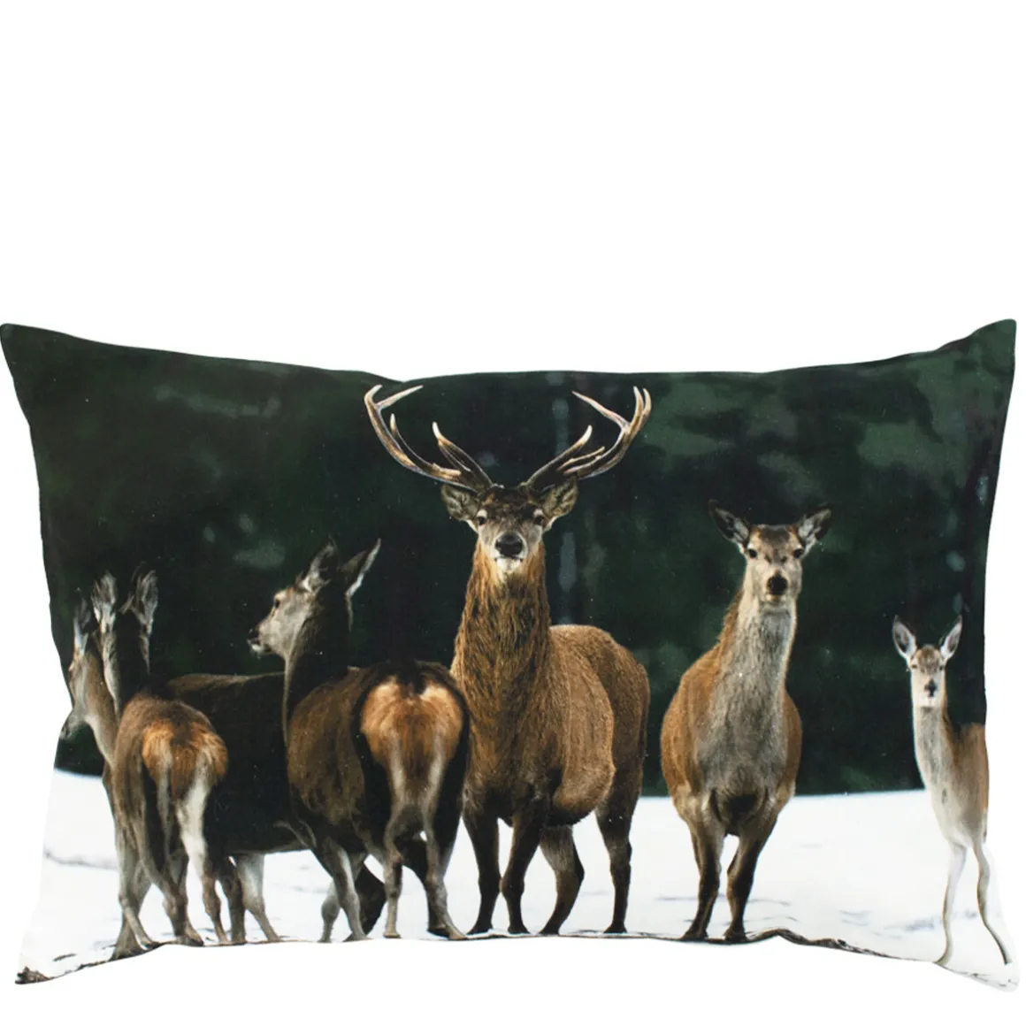 Kanevas Kissen Hirsche, Hirschherde im Winter, 40x60cm, Mars & More