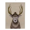 Kanevasbild Hirsch, Leinwandbild Winterhirsch mit Pudelmütze, 60x80cm