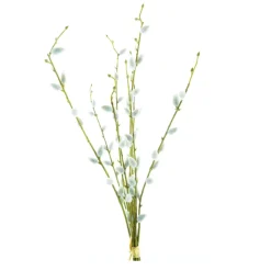 Kunstblume Palmkätzchen, Palmkätzchenzweige gebündelt, 54cm, Nova Nature