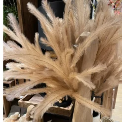 Kunstfpflanze Pampasgras, filigran naturfarben, mit Draht zum Formen, 140cm