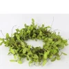 Kunstkranz Eukalyptus, grün, Ø50cm
