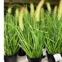 Kunstpflanze Fuchsschwanz, Fuchsschwanz im Topf, 60cm