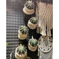 Kunstpflanze Kaktus, Kaktus Vertus, grün, 18cm, Pick