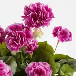 Kunstpflanze Geranie dunkles rosa-pink im Balkonkasten terra, 29cm, Mica Decorations