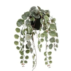Kunstpflanze Leuchterblume Ceropegia woodii grüntöne im Topf, Hängepflanze, Mica Decorations