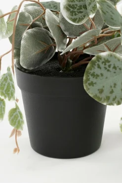 Kunstpflanze Leuchterblume Ceropegia woodii grüntöne im Topf, Hängepflanze, Mica Decorations