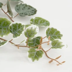 Kunstpflanze Leuchterblume Ceropegia woodii grüntöne im Topf, Hängepflanze, Mica Decorations