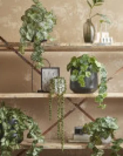 Kunstpflanze Perlenschnur, Erbsenpflanze grün, Senecio hängend, 71cm, Mica Decorations