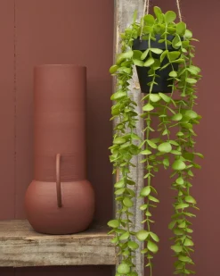 Kunstpflanze Perlenschnur, Erbsenpflanze grün, Senecio hängend, 71cm, Mica Decorations