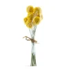 Kunstpflanze Trommelstöckchen gelb, 9 St. Crespedia im Bund, 28cm