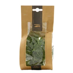 Natur Moos, Curly Moos grün, gelocktes Moos,25g/Btl, DIJK Natural Collections