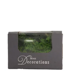 Natur Moos, Islandmoos dunkelgrün, weiches Rentiermoos, 50g/Box, DIJK Natural Collections