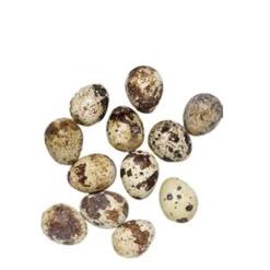 Natur Wachteleier, 30 St./Box