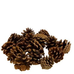 Naturdeko Kiefernzapfen im Beutel, 200gr, Naturzapfen