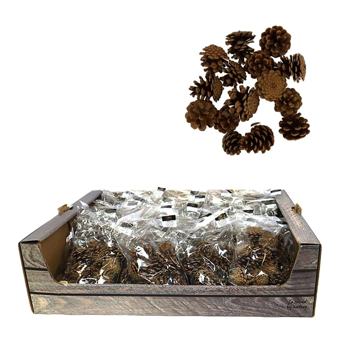 Naturdeko Kiefernzapfen im Beutel, 200gr, Naturzapfen