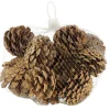 Naturdeko Kiefernzapfen im Netz, 200gr, Naturzapfen