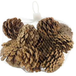 Naturdeko Kiefernzapfen im Netz, 200gr, Naturzapfen