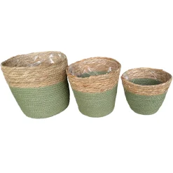 Pflanzkorb Seegras Natur, Übertopf gekordelt grün-natur, 14cm, Naturkorb